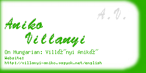 aniko villanyi business card